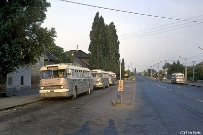 Pihenő